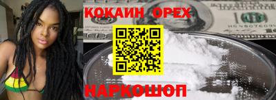 гидропоника Гатчина