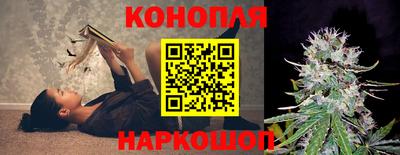 гидропоника Гатчина