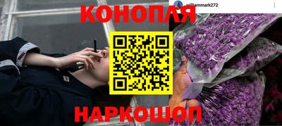 гашик Гагарин