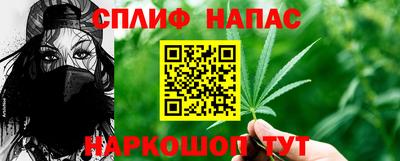 гашик Гагарин